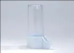 חנות חיות בנס ציונה